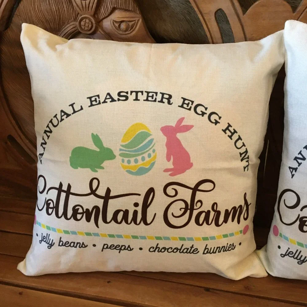 SET OF TWO (2) Easter Bunny Rabbit Pillow Cover 18 x 18 Cottontail Farms NEW